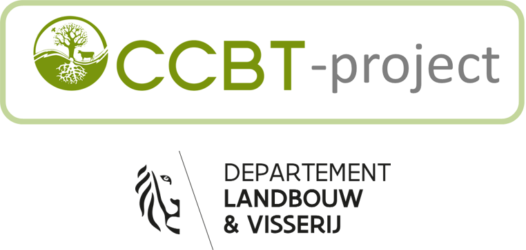 CCBT project