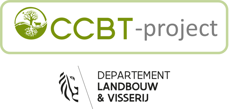 ccbt project departement