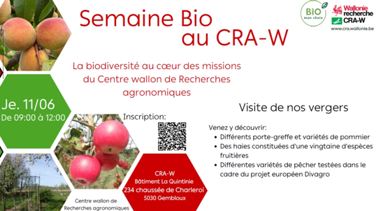 cra-w pitfruit