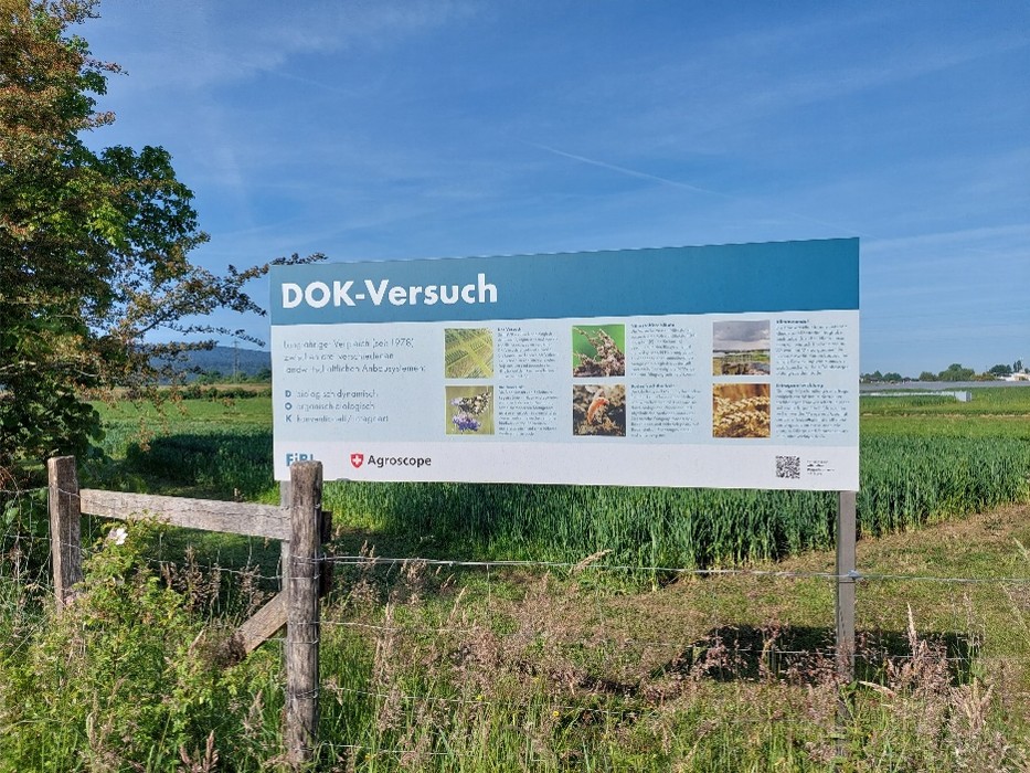 DOK-trial LLAEBIO