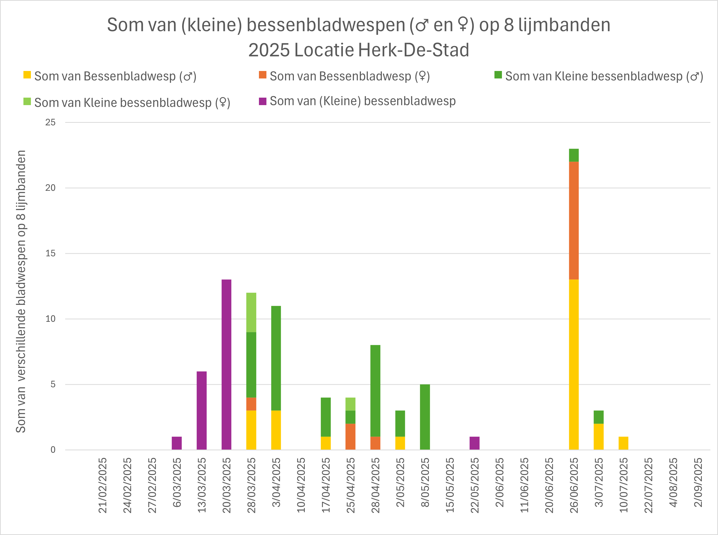 figuur 1 bessenbladwesp