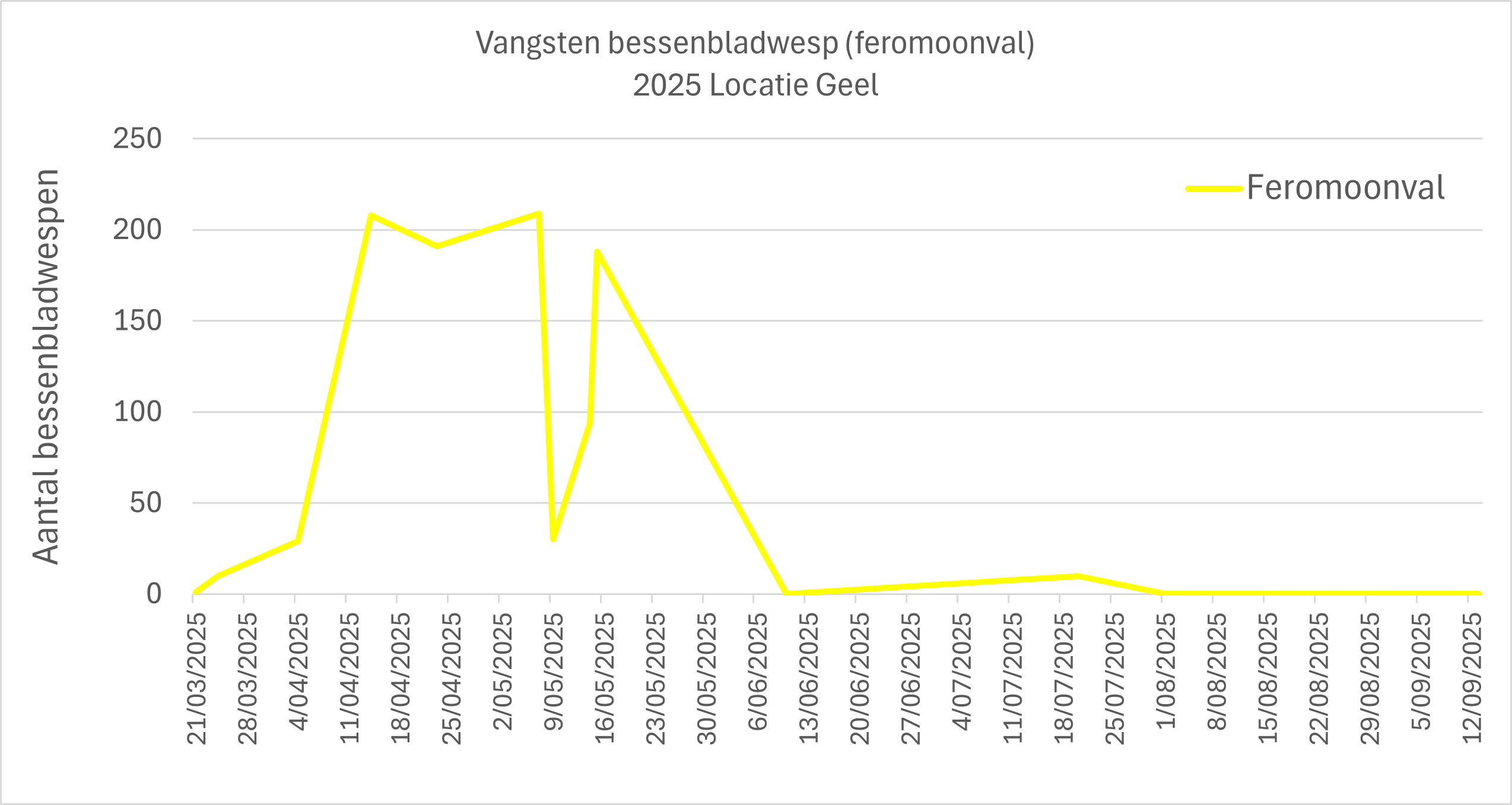 figuur 2 bessenbladwesp