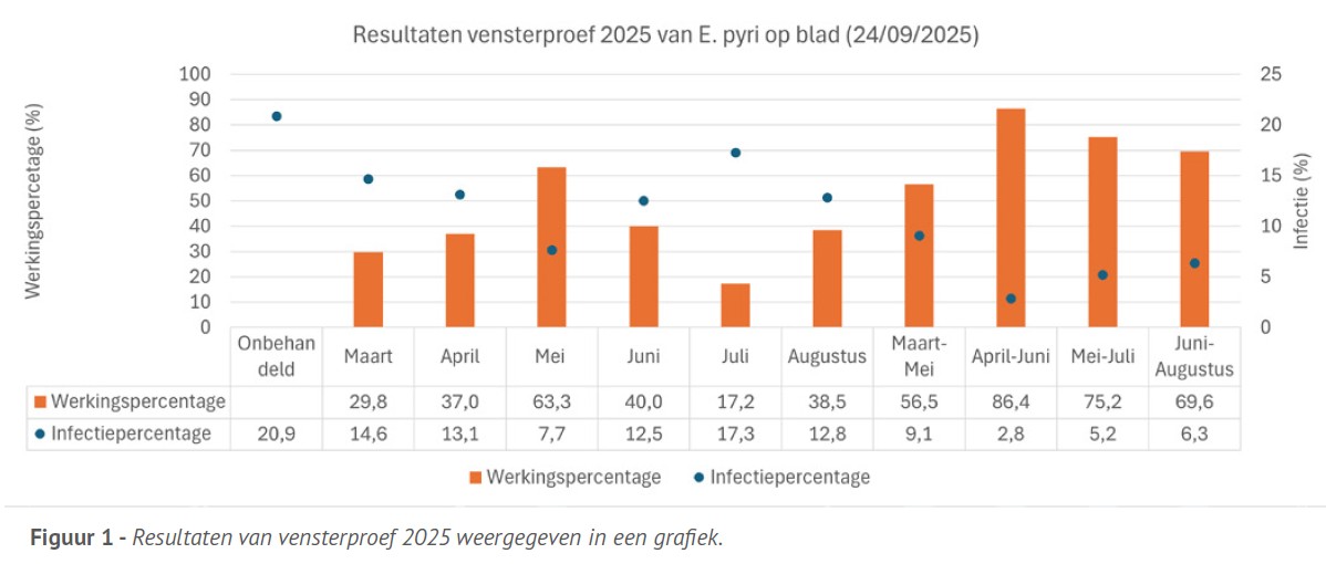 figuur 1 raadselspot