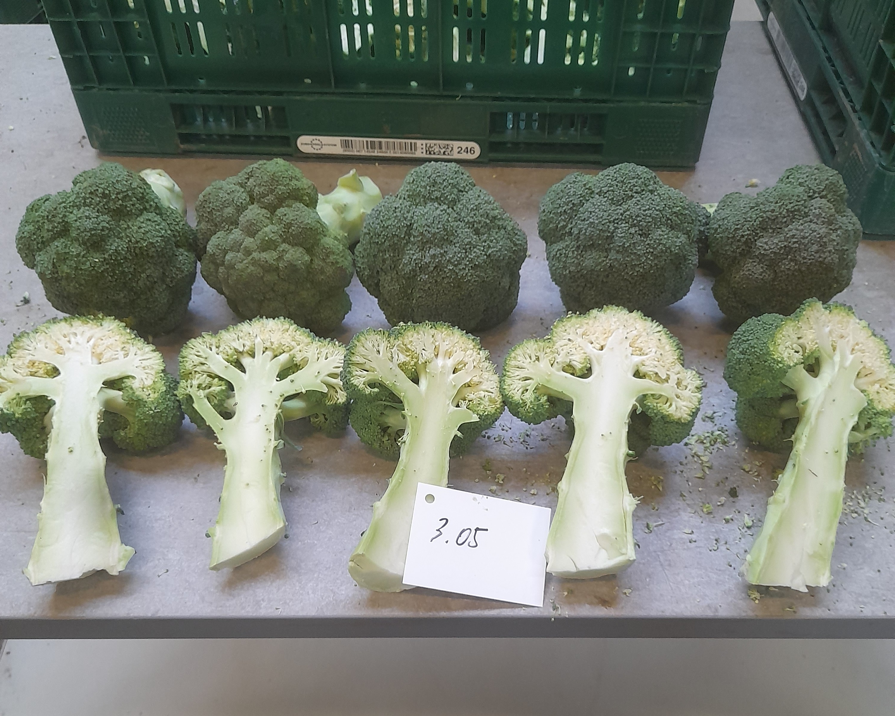 larsson ras broccoli