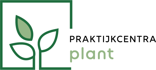 logo plant