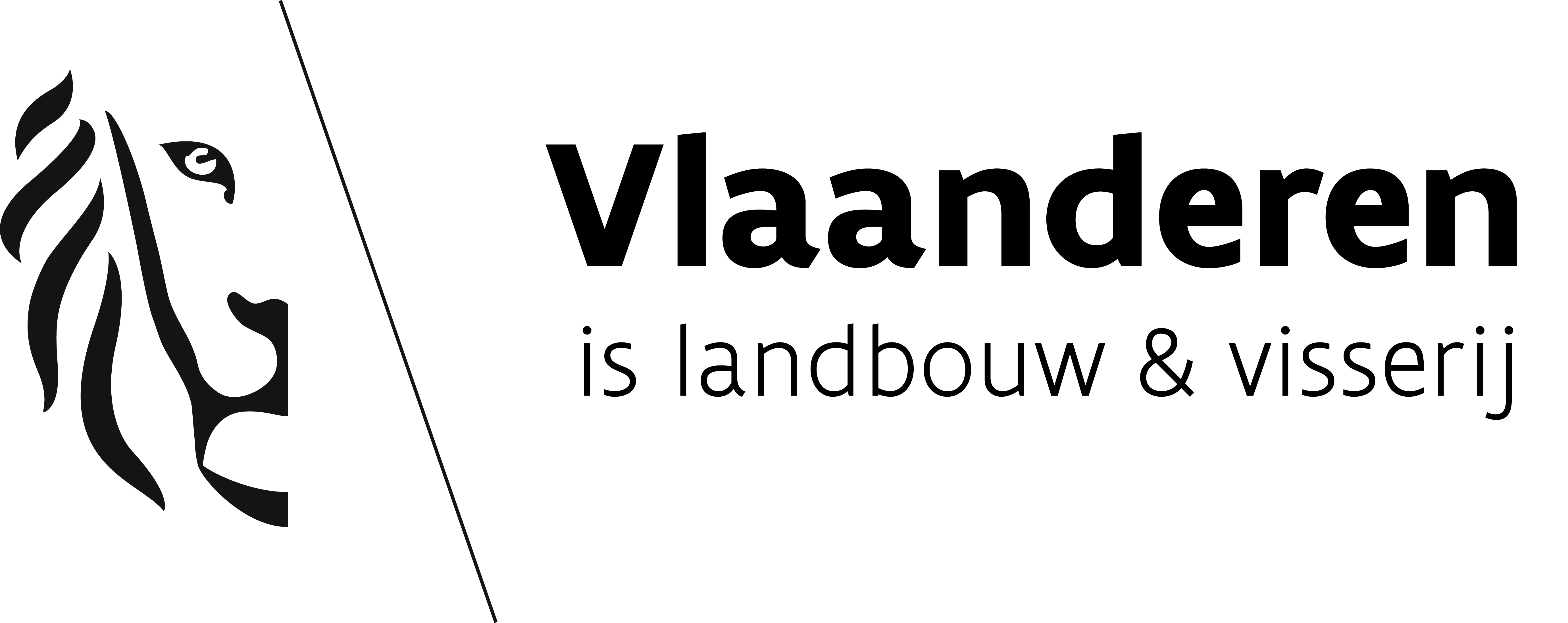 logo vlaanderen