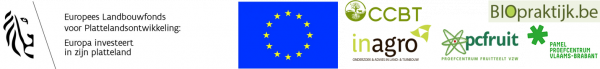 logo's