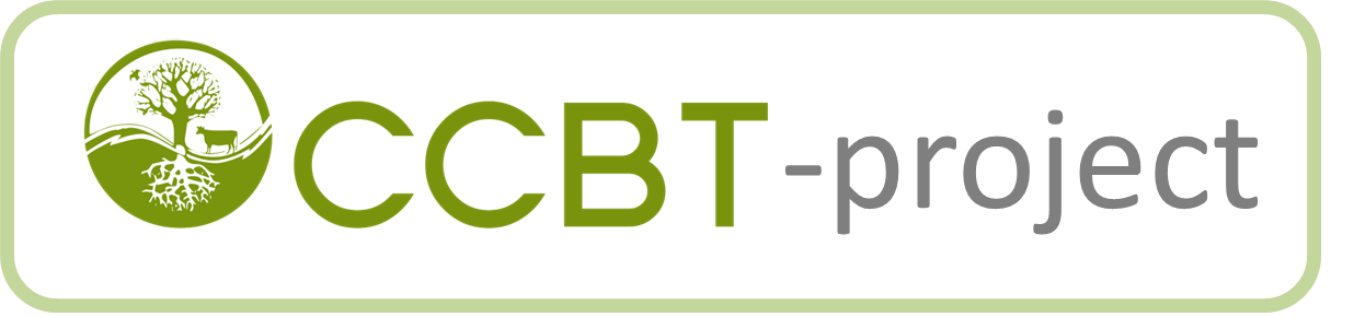 ccbt-project