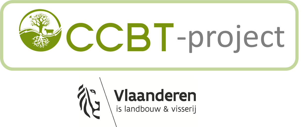 CCBTproject
