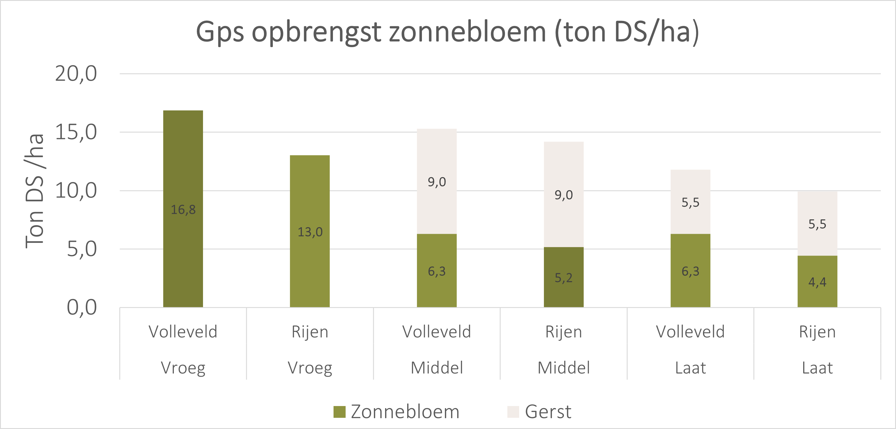 figuur 1 zonnebloemen