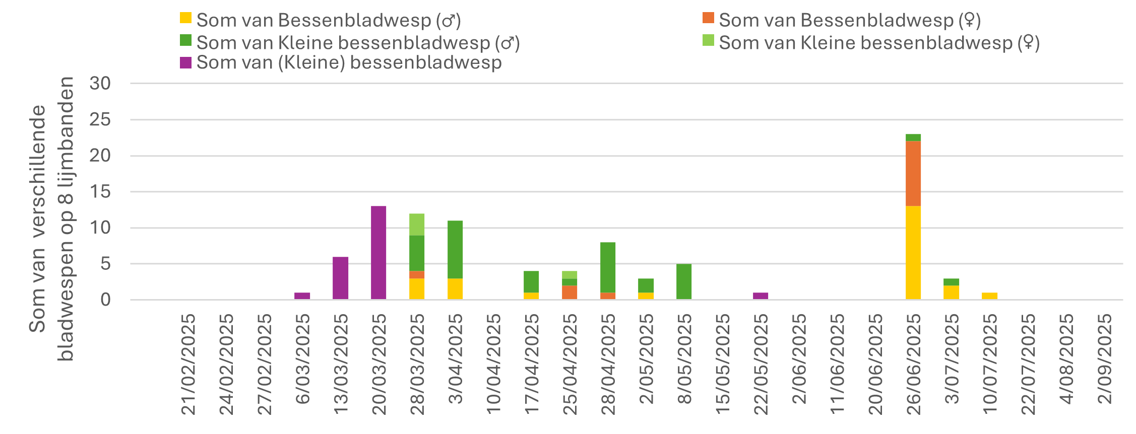 figuur 3 pak ribessii
