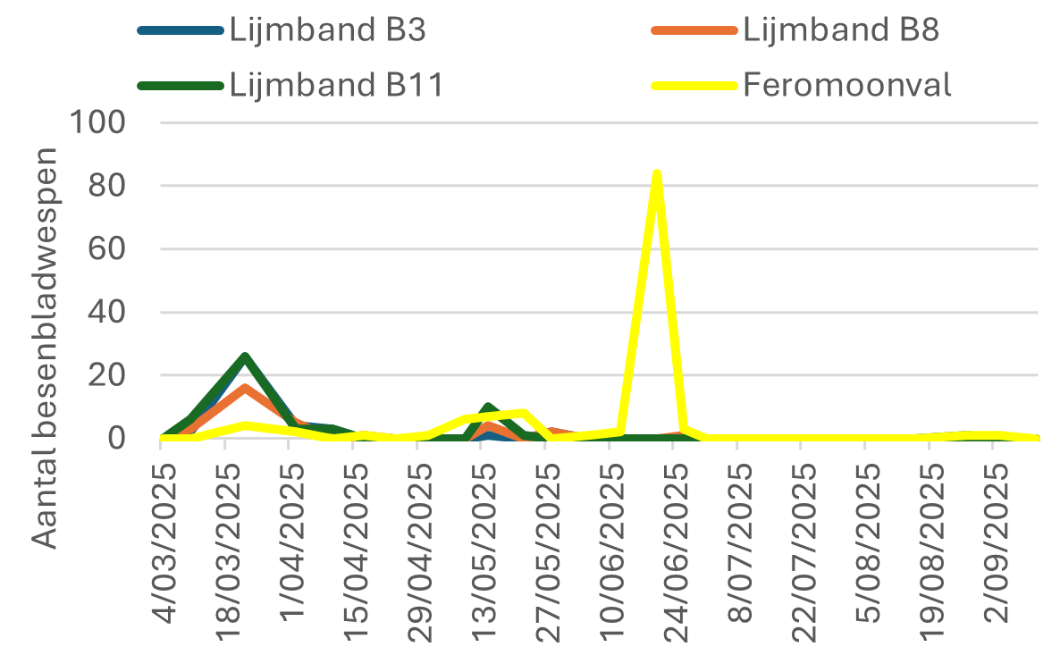 figuur 4a pak ribessii