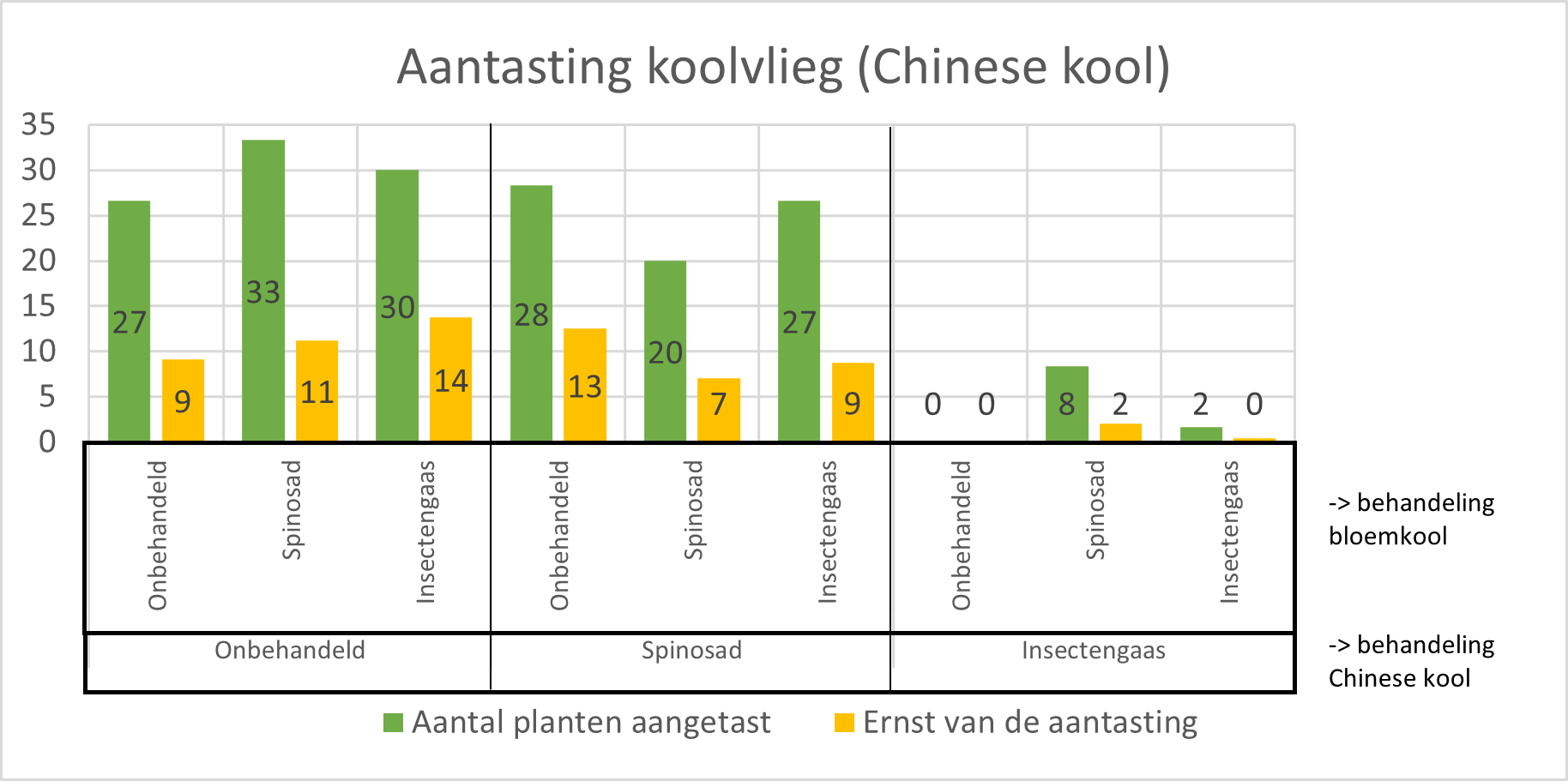 figuur koolvlieg