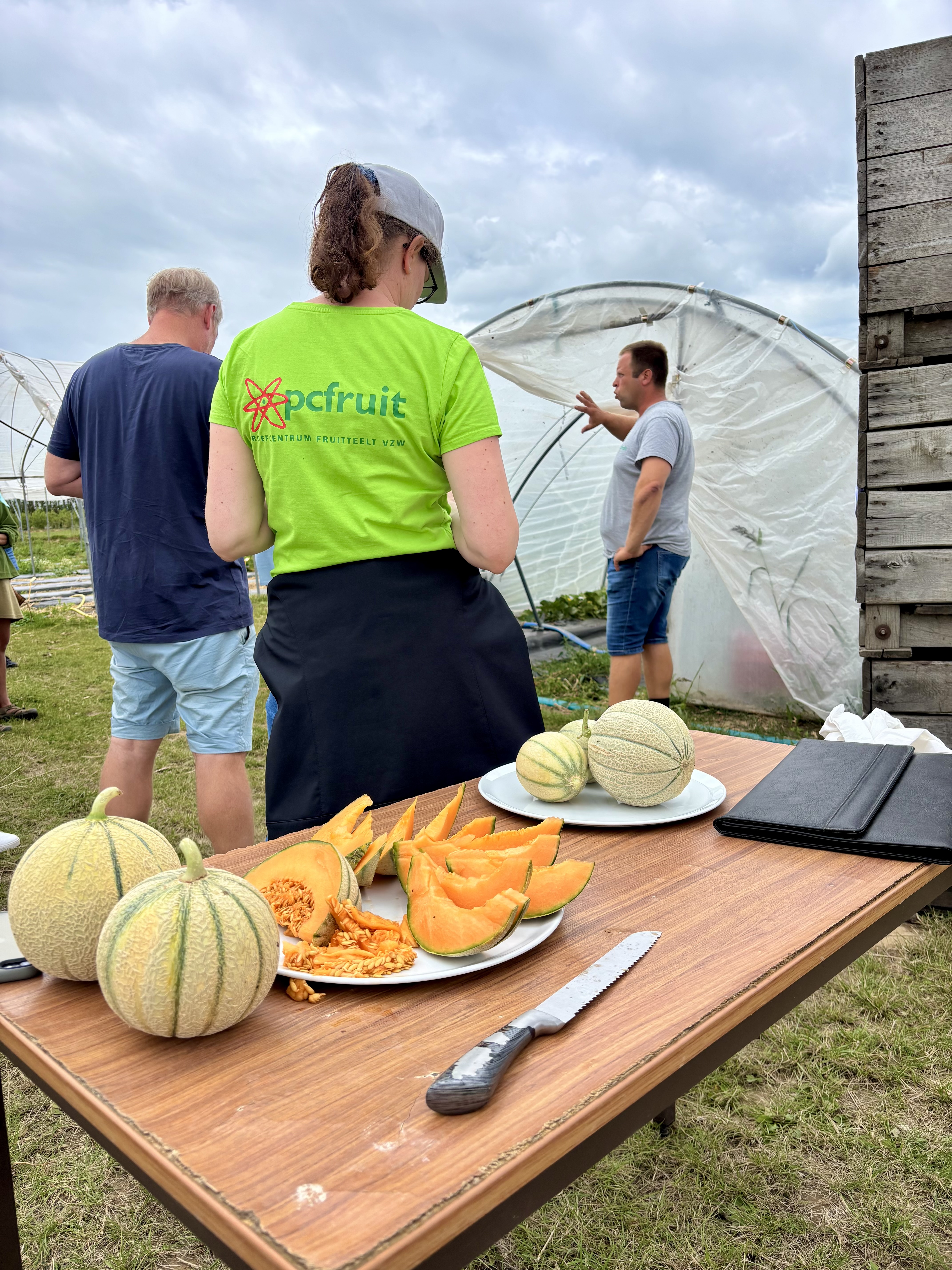pcfruit meloenen
