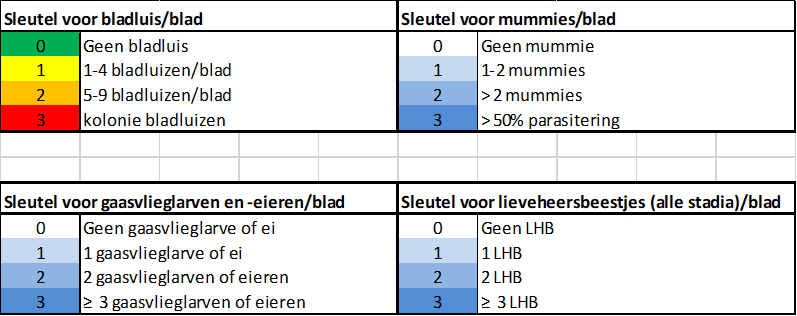 kleinfruit 2