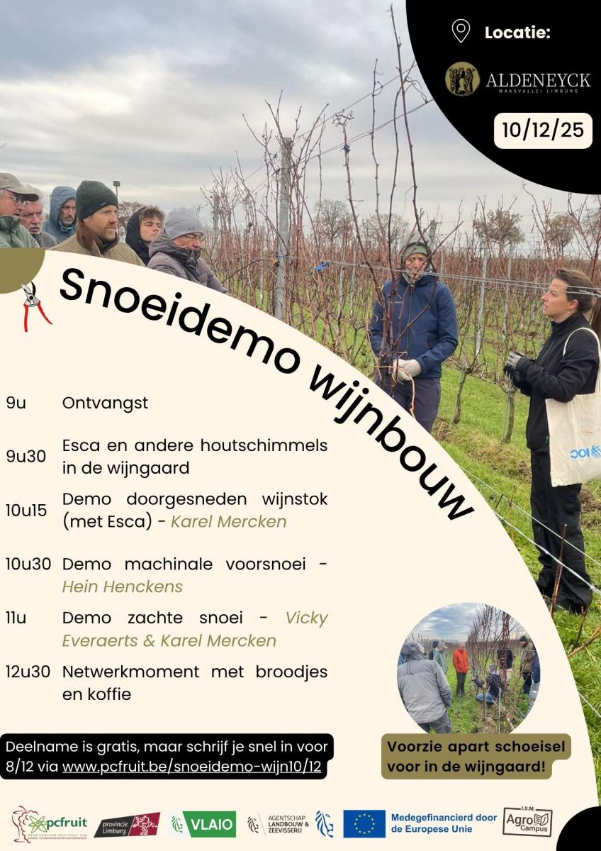 snoeidemo wijnbouw