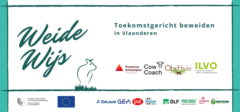 logo's weidewijs