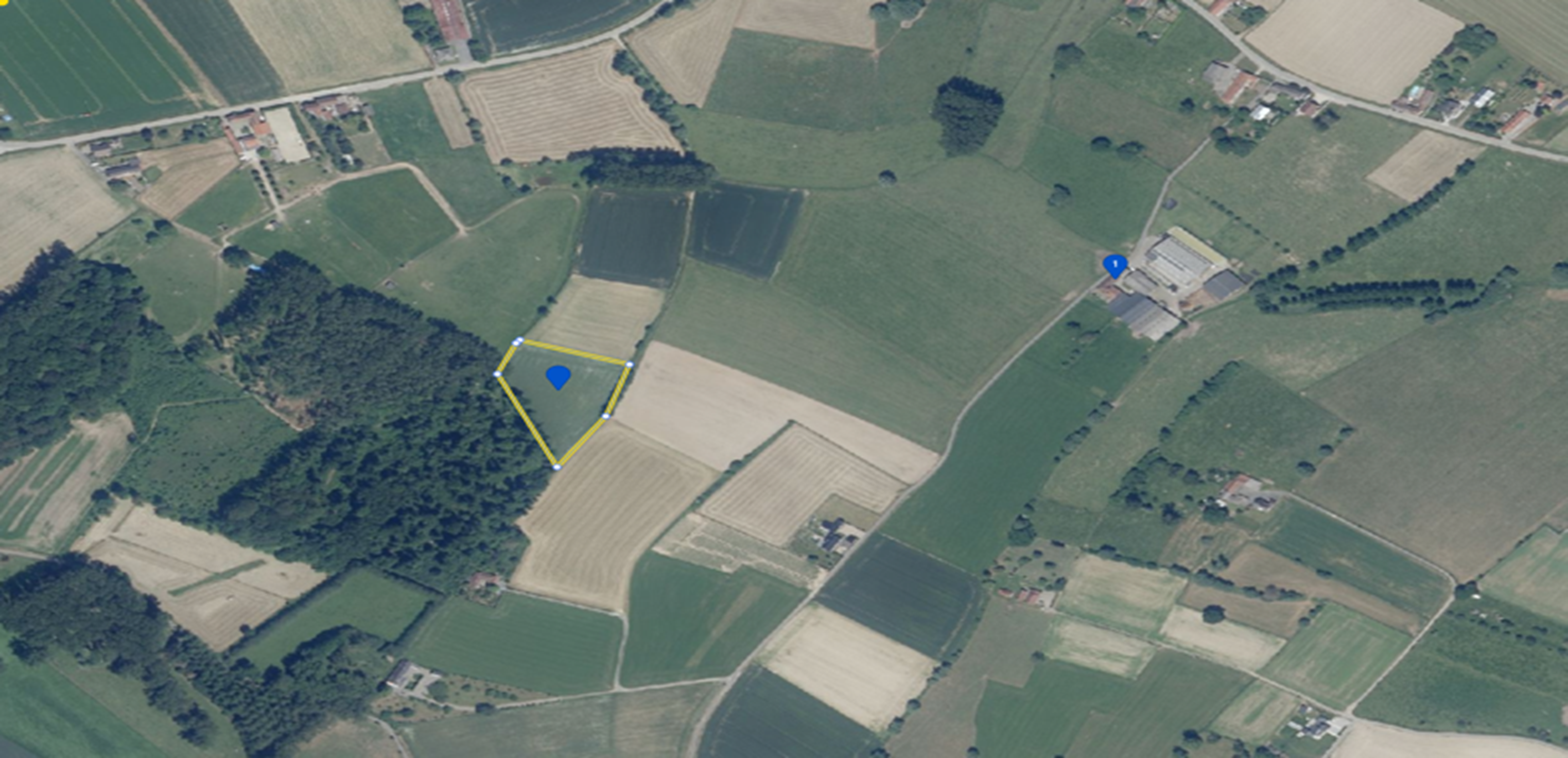 veldbezoek zonnebloem kaartje