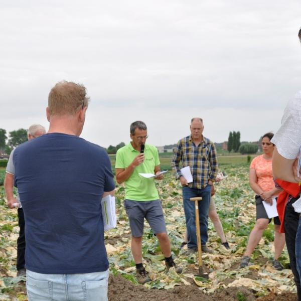 Sleutels tot succes in moeilijk voorjaar