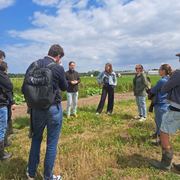 studiereis strokenteelt