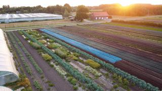 Harvestis